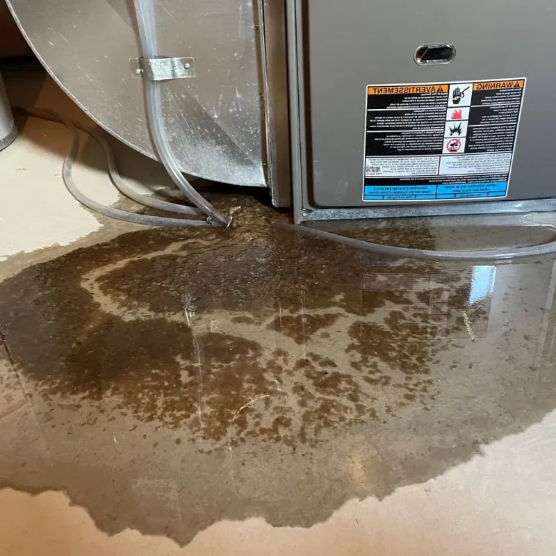Pipe Burst and Leak Restoration in Sherwood Manor, CT